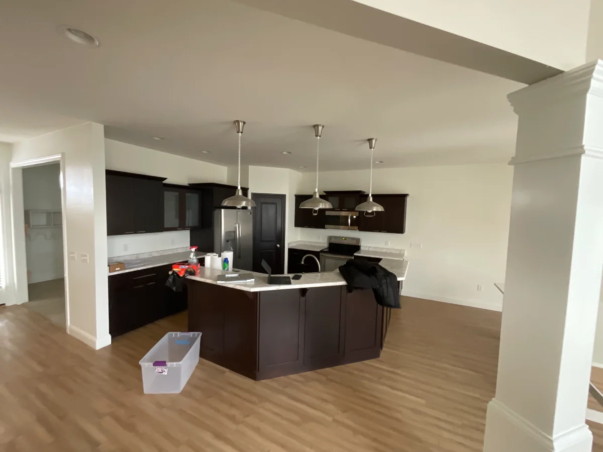 canvasback_before_10